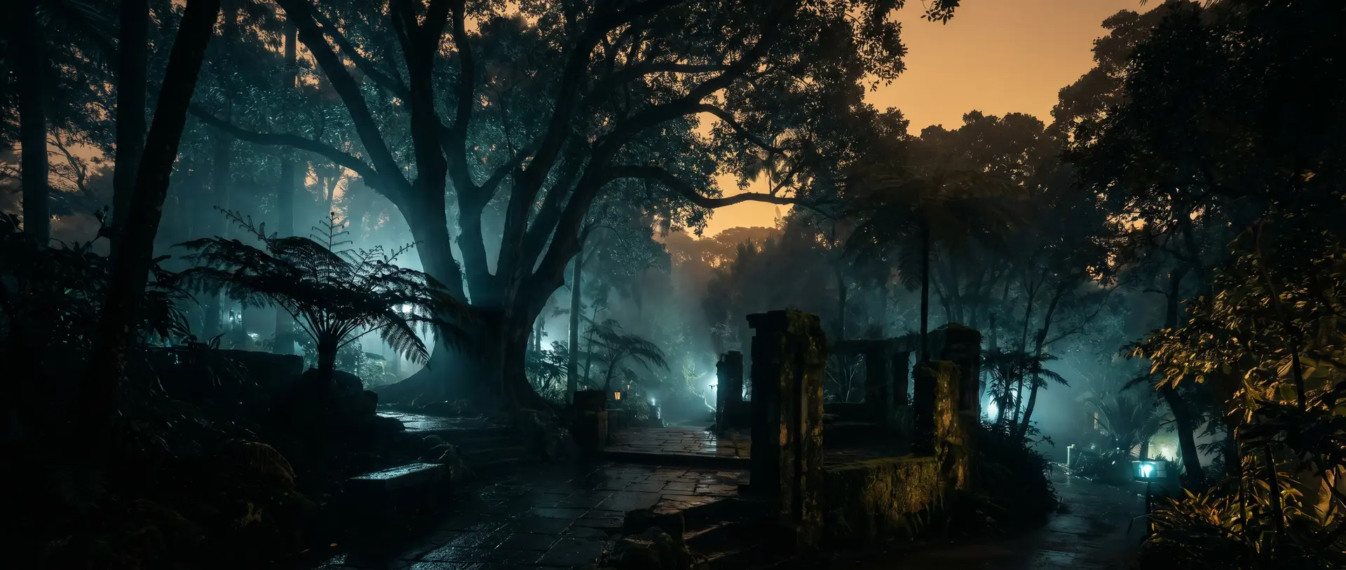 看片珍稀兰花视频教程